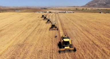 Tarım-GFE enflasyonu mayısta yükseldi