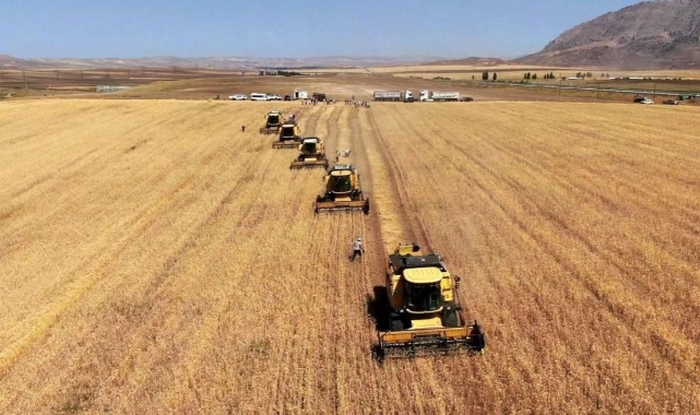 Tarım-GFE enflasyonu mayısta yükseldi