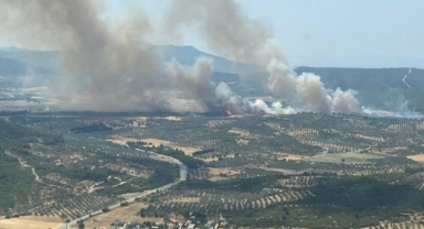 Yine bir yangın... Foça'da orman yangını
