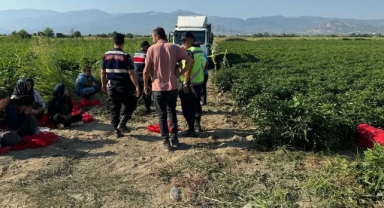 6 yaşındaki çocuğu ezince yakınları sürücüyü vurdu