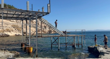 Akdeniz foklarının yuvaları kurtuluyor