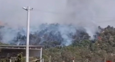 Bayraklı’da feci yangın: Alevler, ormanlık alandan yükseldi! 