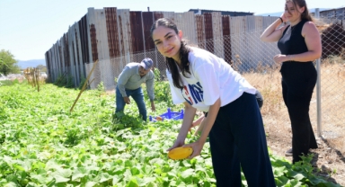 Bornova'da yerel tohum ve fide seferberliği