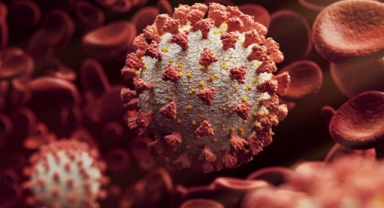 Covid-19 yeniden kapıda: Vakalar alarm veriyor