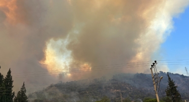 Ege'de yangın felaketi sürüyor
