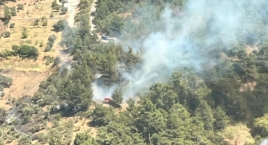 Büyükşehir İtfaiyesi, Kemalpaşa yangınına müdahale ediyor