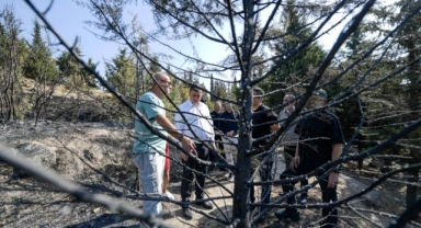 İzmir'in ciğerleri yandı... Yangın bölgesinde iyileştirme çalışmaları başladı!