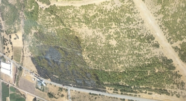 İzmir’in ciğerleri yanıyor… Bir orman yangını daha!