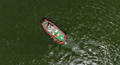 İzmir Körfezi'nde balık ölümleri: Bakanlık inceleme başlattı