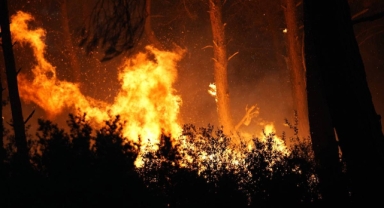 İzmir orman yangınlarında birinci sırada 