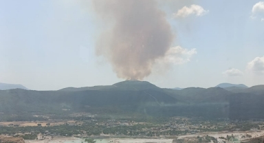 Müdahale sürüyor… Menderes’te korkutan yangın! 