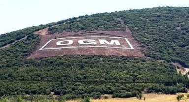 OGM'nin yangınlar için gerekli ekipmanları almadığı ortaya çıktı 