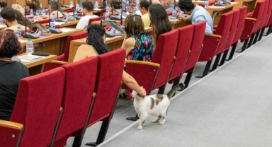Sokakta yaşayan canlar için hazırlıklar sürüyor: 
