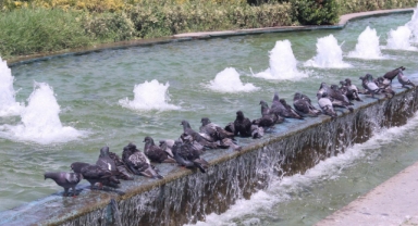 Termometreler 40 dereceye yaklaştı… Yeni haftada hava nasıl olacak? 