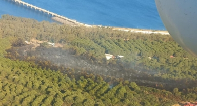 TÜPRAŞ Ormanı'nda yangın 