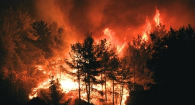Yangın bilançosu belli oldu: İzmir ilk sırada yer aldı! 