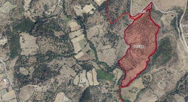 Bakanlık'tan 'ÇED Gerekli Değildir' kararı: 18 bin panel kurulacak!