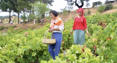 Başkan Kınay festival öncesi hazırlıkları yerinde inceledi