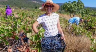 Bornova’da Avrupa Hareketlilik Haftası heyecanı