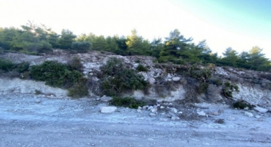 Çevrecilerden tedbir çağrısı: Çeşme’de çevre tahribatı! 