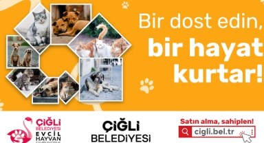 Çiğli'de can dostlar yuvasız kalmayacak