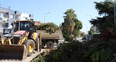 Güzelbahçe Belediyesi’nden safra seferberliği