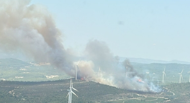 İzmir’in ciğerleri yanıyor: Bir orman yangını daha! 
