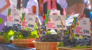 Kavacık Üzüm Festivali kapılarını 12. kez açıyor