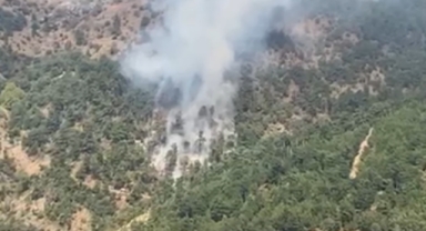 Müdahale devam ediyor… İzmir’de orman yangını