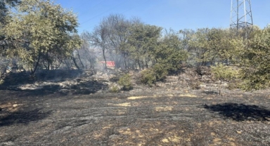 Ödemiş'te yangın: 7 dönümlük alan kül oldu