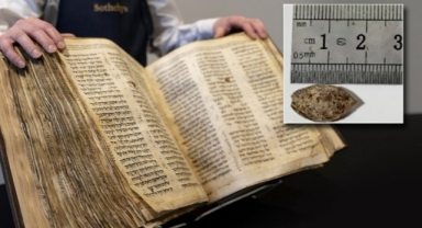 Yahudiye mağarasında bulunan bin yıllık tohum ağaç oldu