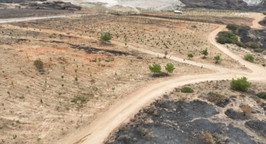 Yamanlar Dağı'ndan yüzleri gülümseten görüntü