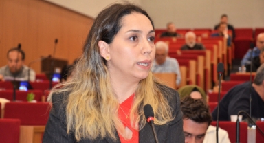 İktidar olduğunu unuttu, muhalefet yapmaya kalktı: AKP'li üyeden dolar çıkışı