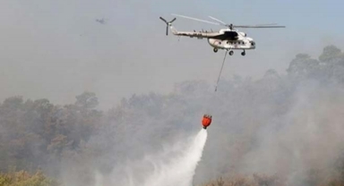 Binlerce hektar alan, “ödeme” kurbanı oldu: Ne ödeme yapılmış ne yakıt alınmış! 
