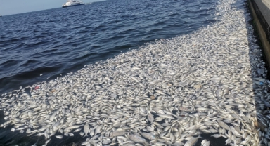 CHP’li Orhan Polat’tan AK Partili İnan’a körfez yanıtı: “Laf değil, çözüm zamanı!”