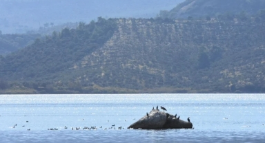 Ege'de kuraklık etkisi: Bafa Gölü'nde 30 metrelik çekilme! 