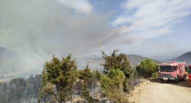 Foça'daki yangına İzBB müdahalesi! 