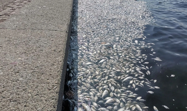 İzBB’den İzmir Körfezi hamlesi: “Çalıştay yapacağız”