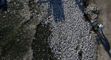 İzmir Körfezi için kritik gün: Eylem planı bugün açıklanacak! 