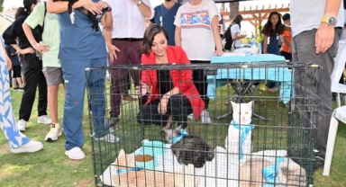 Karabağlar, patili dostlar için buluşuyor