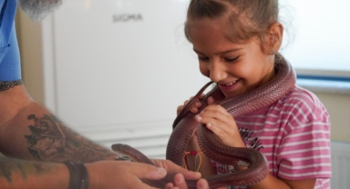 Karşıyakalı çocuklara hayvan sevgisi aşılanıyor