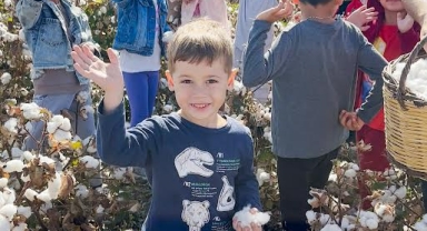 Menemenli minikler Pamuk hasadı yaptı