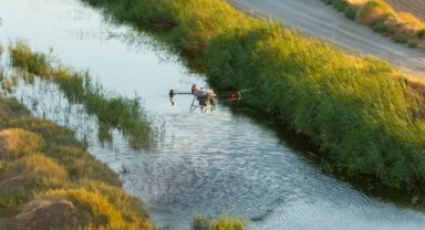 Sinek ve haşere ile mücadelede yeni dönem: Büyükşehir’den dijital hamle!