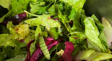 Canlı böcek, salyangoz, kurtçuk… Ege Üniversitesi Hastanesi’nde yemek krizi