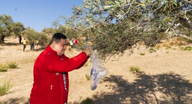 Engelli bireyler zeytin hasadı sayesinde sosyalleşti