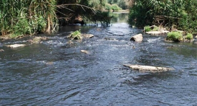 Gediz Nehri’ndeki kirlilik zehir saçıyor: “Hem Manisa’yı hem İzmir’i kirletiyor”