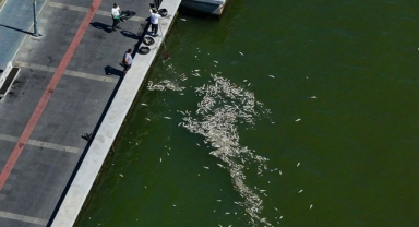 Hedef, temiz körfez… Bakanlıktan İzmir Körfezi çalıştayı!