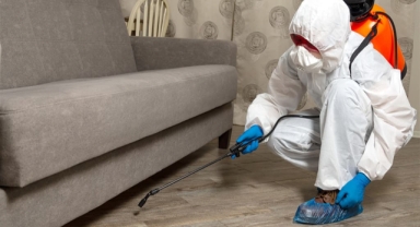 İlaçlama faciasına ilişkin TMMOB'den denetim eksikliği ve bilinçsizlik vurgusu