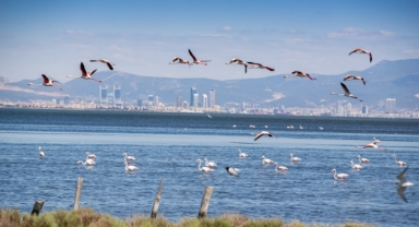 İzmir, Uluslararası Avrupa Demokrasi Başkenti Unvanı için son beşte