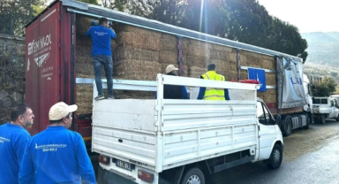 Yangın mağduru çiftçilere 225 ton yem desteği